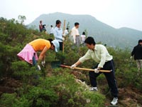 東芝（中國）2007年度公益植樹(shù)助學(xué)活動(dòng)